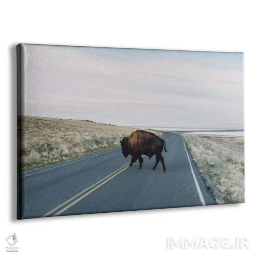 تابلو گاومیش آمریکایی (بایسون) اثر چلسیا ویکتوریا - نمای پرسپکتیو محصول