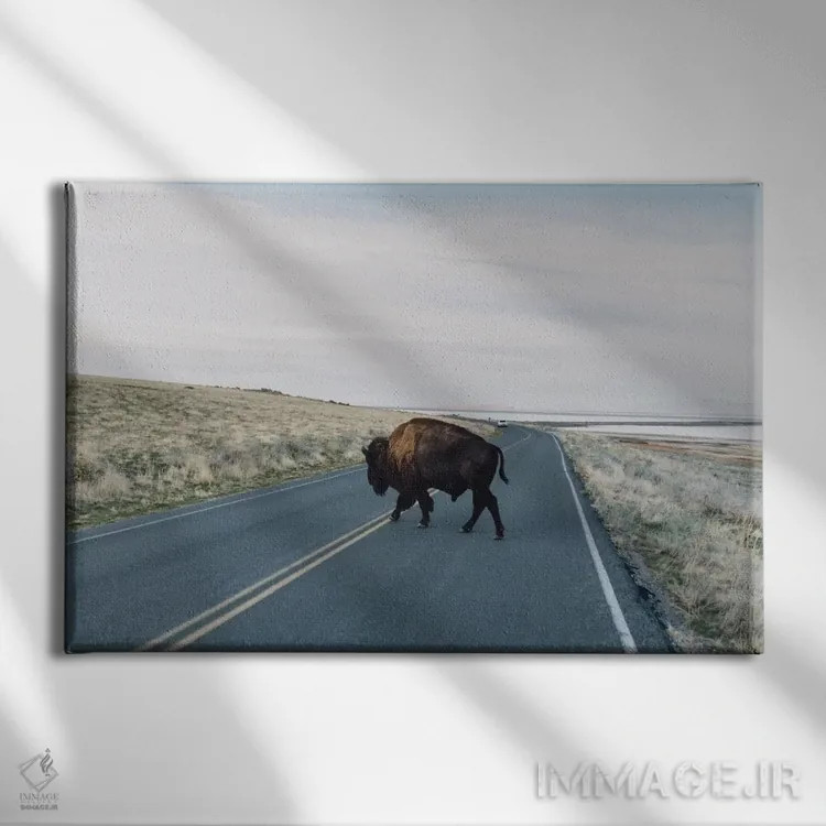 تابلو گاومیش آمریکایی (بایسون) اثر چلسیا ویکتوریا - نمای روبهرو روی دیوار