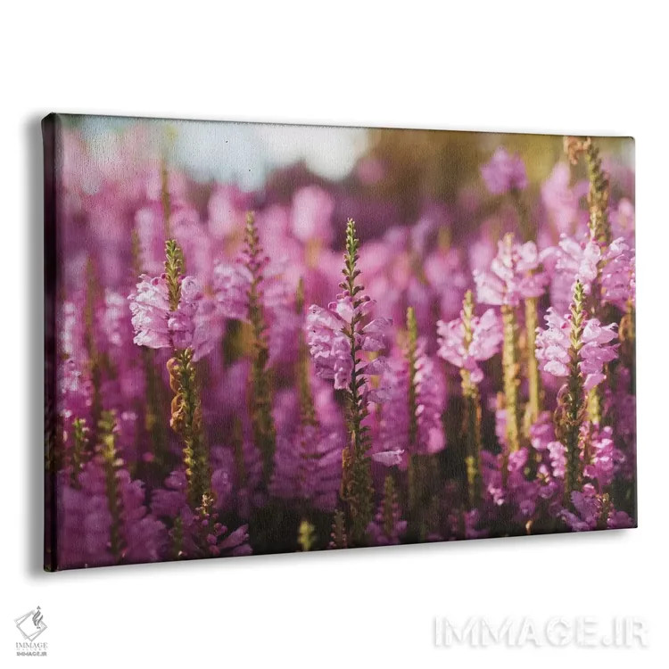 تابلو گلهای صحرایی اثر چلسیا ویکتوریا - نمای پرسپکتیو محصول