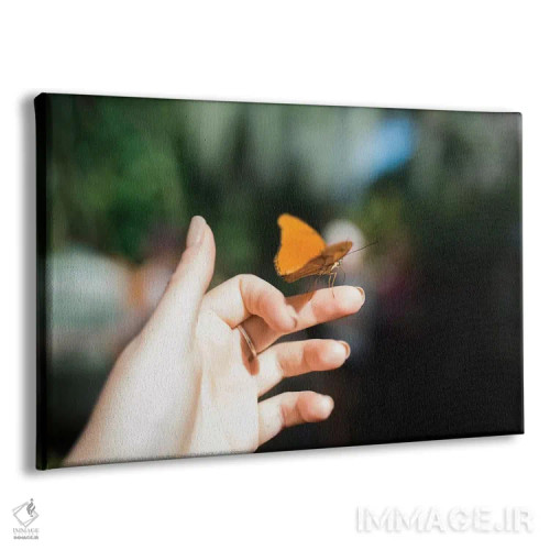 تابلو لطیف اثر چلسیا ویکتوریا - نمای پرسپکتیو محصول