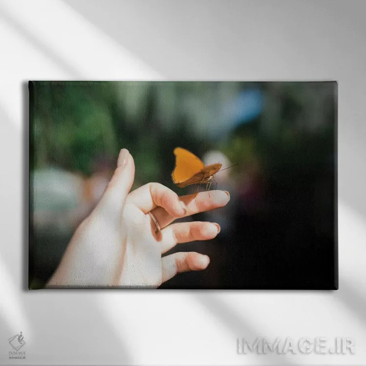 تابلو لطیف اثر چلسیا ویکتوریا - نمای روبهرو روی دیوار