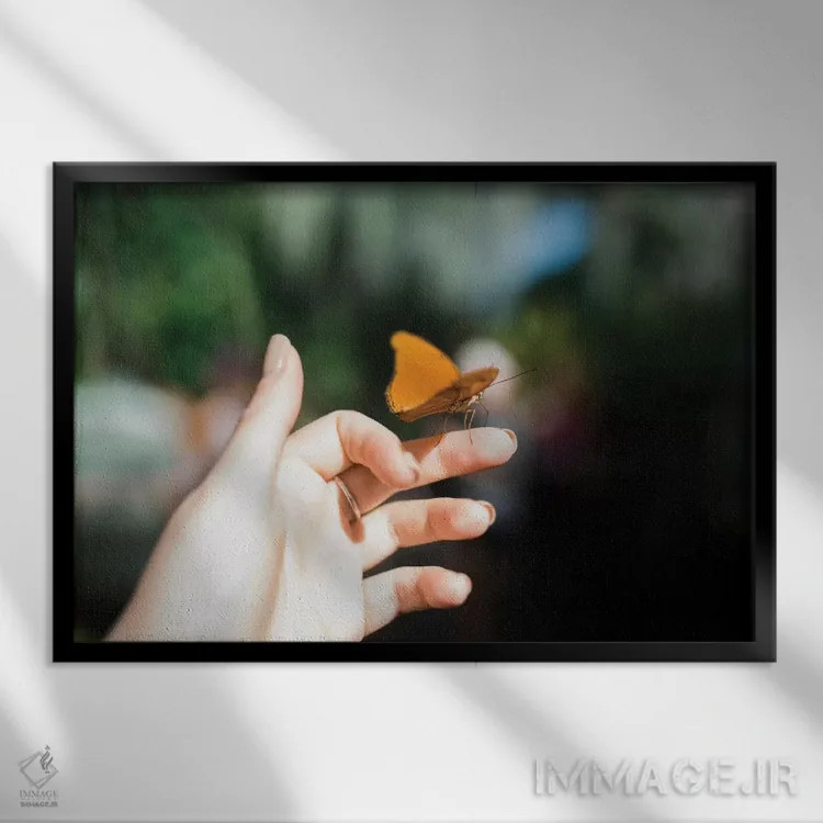 تابلو لطیف اثر چلسیا ویکتوریا - نمای قابدار مشکی