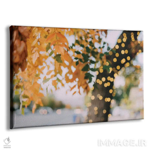 تابلو درخشش و تابش اثر چلسیا ویکتوریا - نمای پرسپکتیو محصول