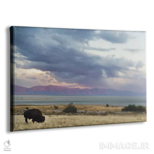 تابلو رویاپردازی طوفان اثر چلسیا ویکتوریا - نمای پرسپکتیو محصول