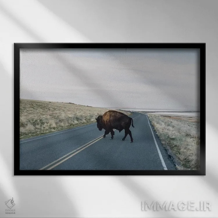 تابلو گاومیش آمریکایی (بایسون) اثر چلسیا ویکتوریا - نمای قابدار مشکی
