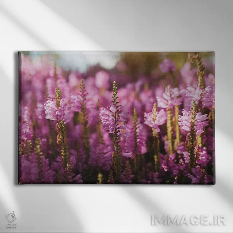 تابلو گلهای صحرایی اثر چلسیا ویکتوریا - نمای روبهرو روی دیوار