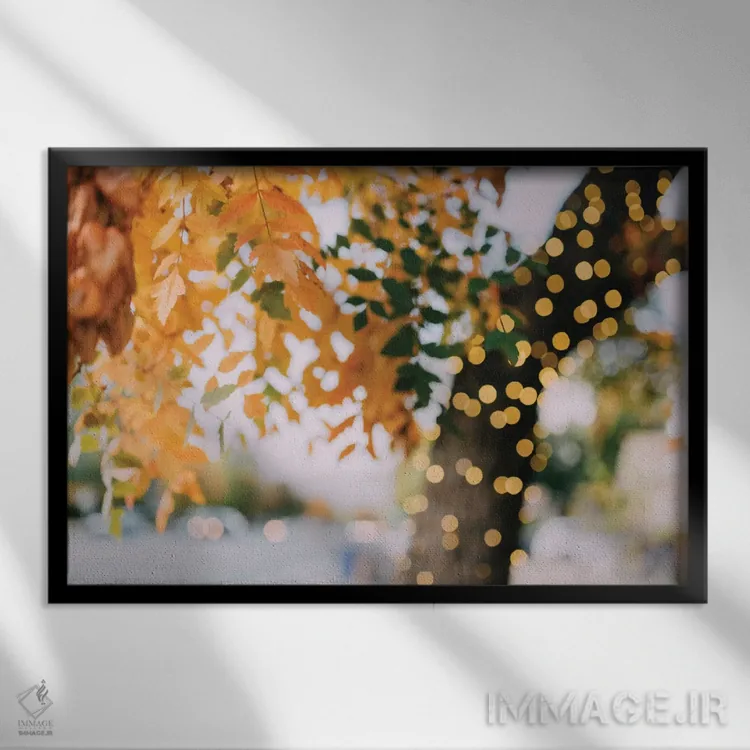 تابلو درخشش و تابش اثر چلسیا ویکتوریا - نمای قابدار مشکی
