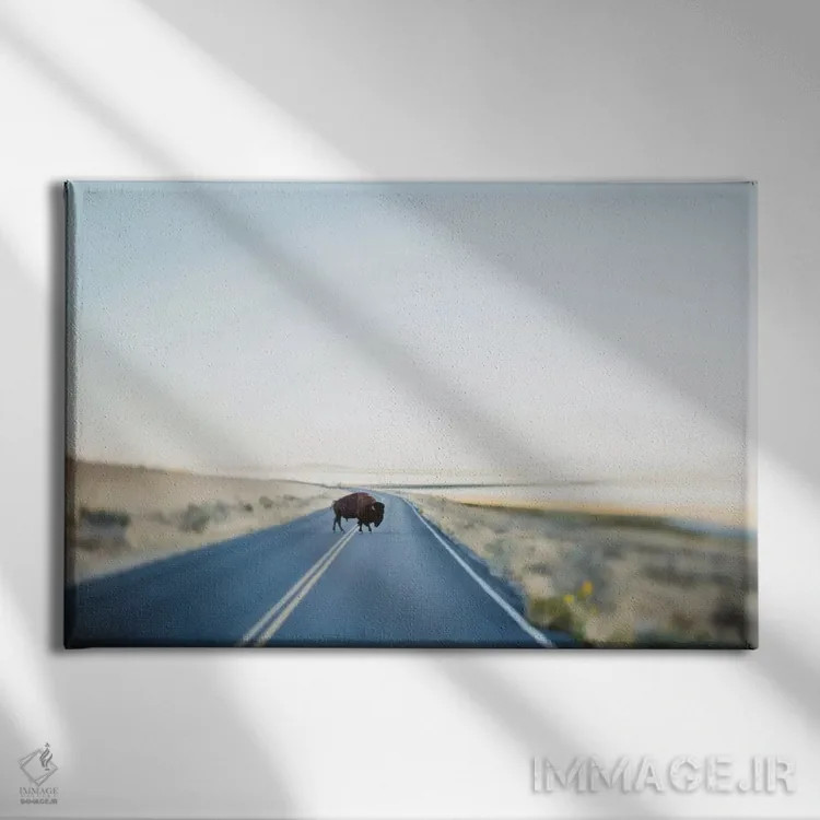 تابلو عابری پیاده (با معنای مثبت) اثر چلسیا ویکتوریا - نمای روبهرو روی دیوار