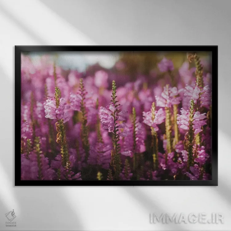 تابلو گلهای صحرایی اثر چلسیا ویکتوریا - نمای قابدار مشکی