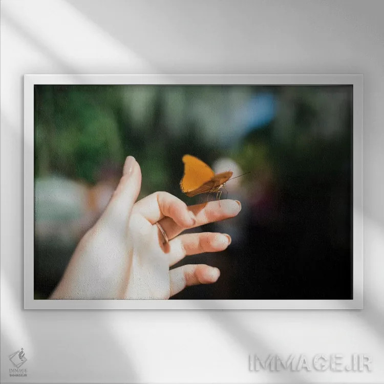 تابلو لطیف اثر چلسیا ویکتوریا - نمای قابدار سفید