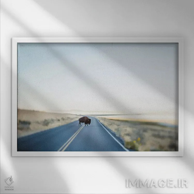 تابلو عابری پیاده (با معنای مثبت) اثر چلسیا ویکتوریا - نمای قابدار سفید