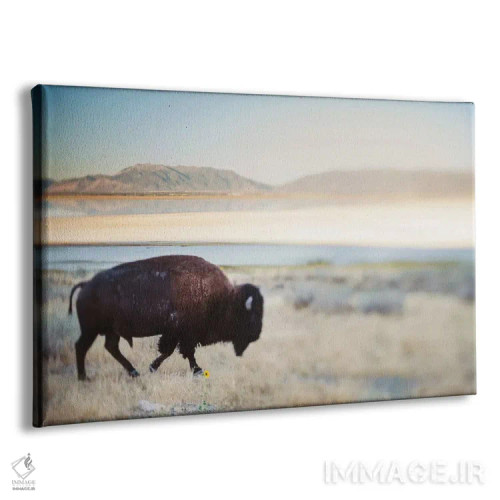 تابلو گاومیش بینام اثر چلسیا ویکتوریا - نمای پرسپکتیو محصول