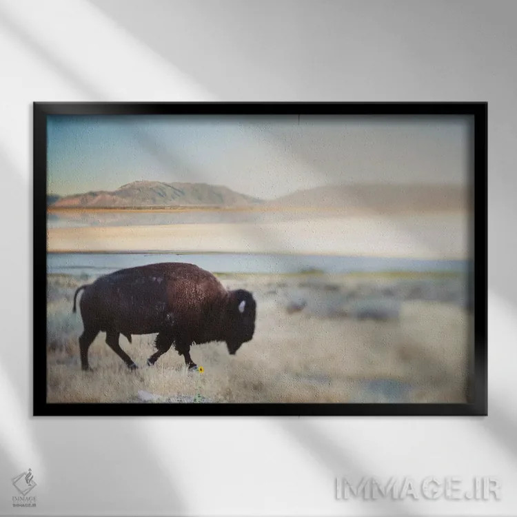 تابلو گاومیش بینام اثر چلسیا ویکتوریا - نمای قابدار مشکی