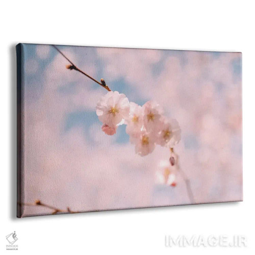 تابلو شکوفه گیلاس ۱ اثر چلسیا ویکتوریا - نمای پرسپکتیو محصول