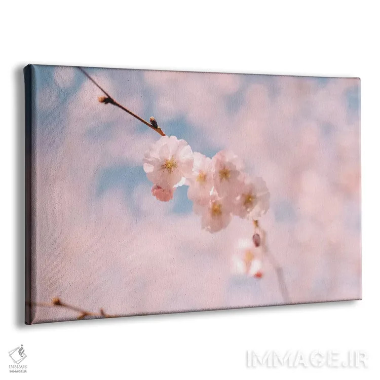 تابلو شکوفه گیلاس ۱ اثر چلسیا ویکتوریا - نمای پرسپکتیو محصول