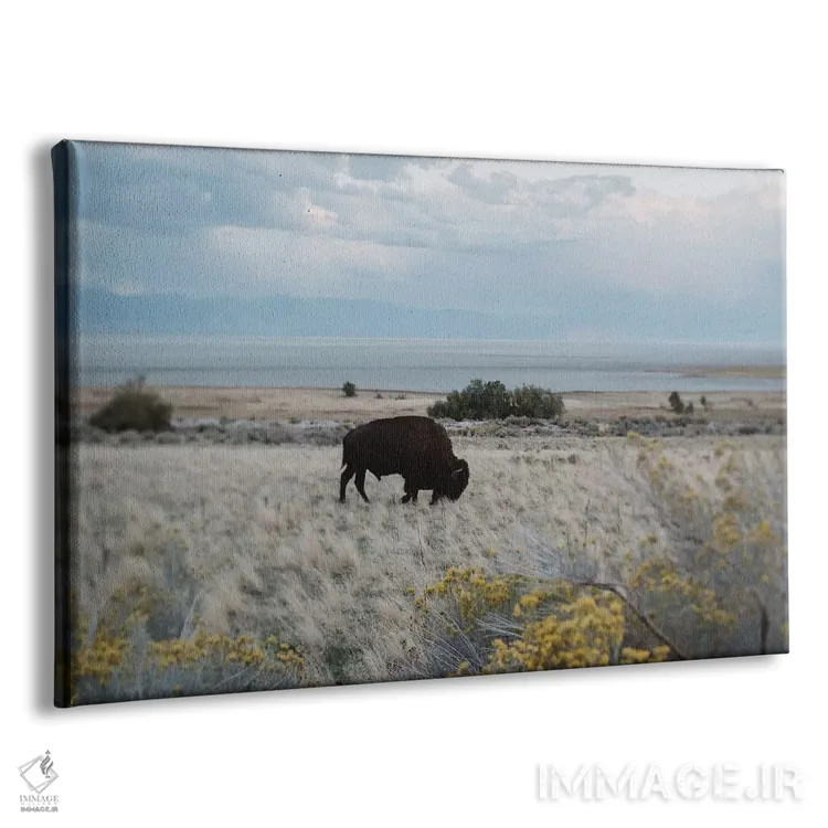 تابلو بایسون در مزرعه اثر چلسیا ویکتوریا - نمای پرسپکتیو محصول