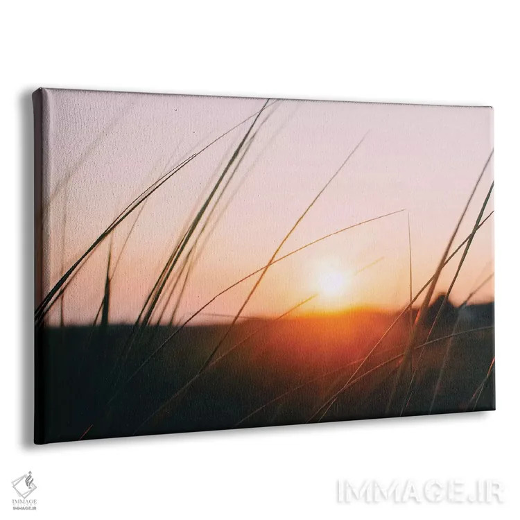 تابلو چمنزار کیپ کاد اثر چلسیا ویکتوریا - نمای پرسپکتیو محصول