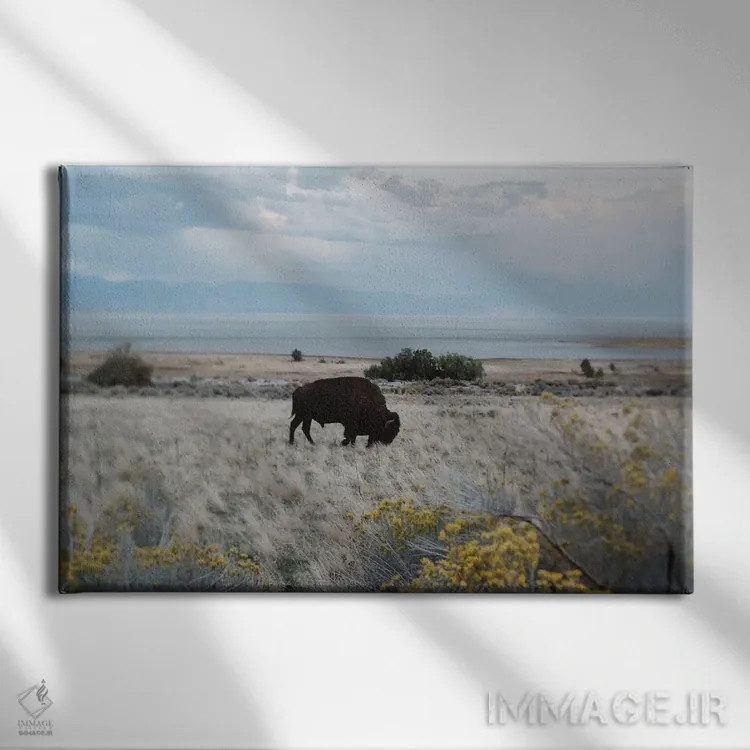 تابلو بایسون در مزرعه اثر چلسیا ویکتوریا - نمای روبهرو روی دیوار