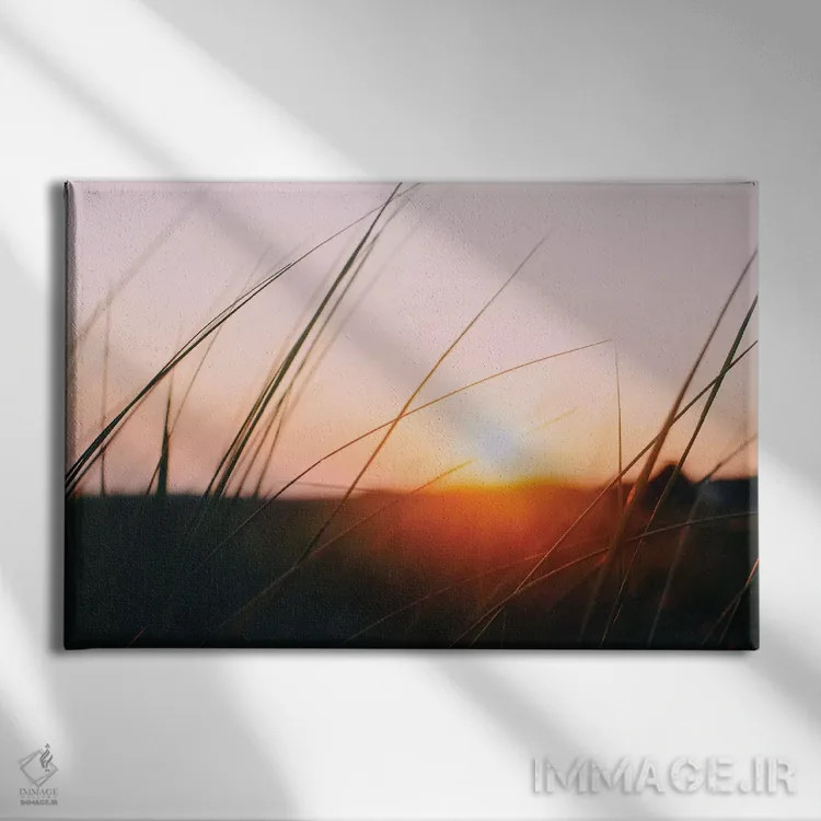 تابلو چمنزار کیپ کاد اثر چلسیا ویکتوریا - نمای روبهرو روی دیوار