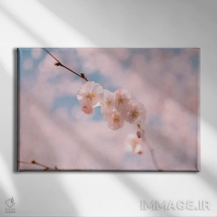 تابلو شکوفه گیلاس ۱ اثر چلسیا ویکتوریا - نمای روبهرو روی دیوار