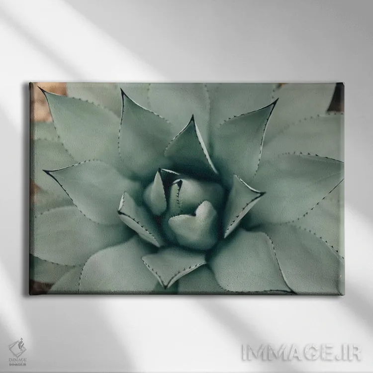 تابلو ساکولنت نعناعی ۱ (گیاه گوشتی) اثر چلسیا ویکتوریا - نمای روبهرو روی دیوار