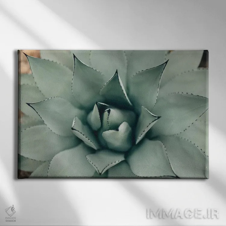 تابلو ساکولنت نعناعی ۱ (گیاه گوشتی) اثر چلسیا ویکتوریا - نمای روبهرو روی دیوار