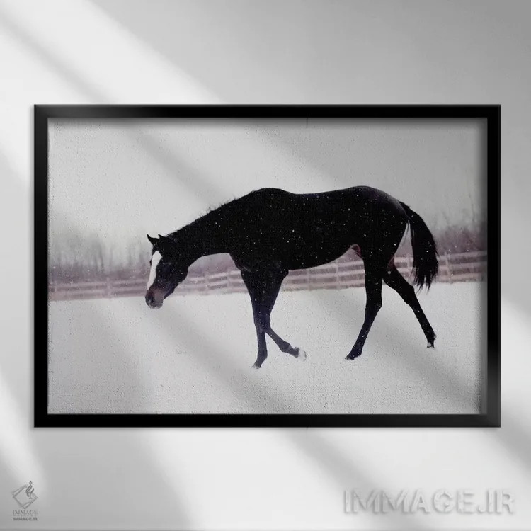 تابلو اسب سیاه در برف اثر چلسیا ویکتوریا - نمای قابدار مشکی