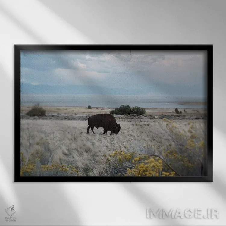 تابلو بایسون در مزرعه اثر چلسیا ویکتوریا - نمای قابدار مشکی