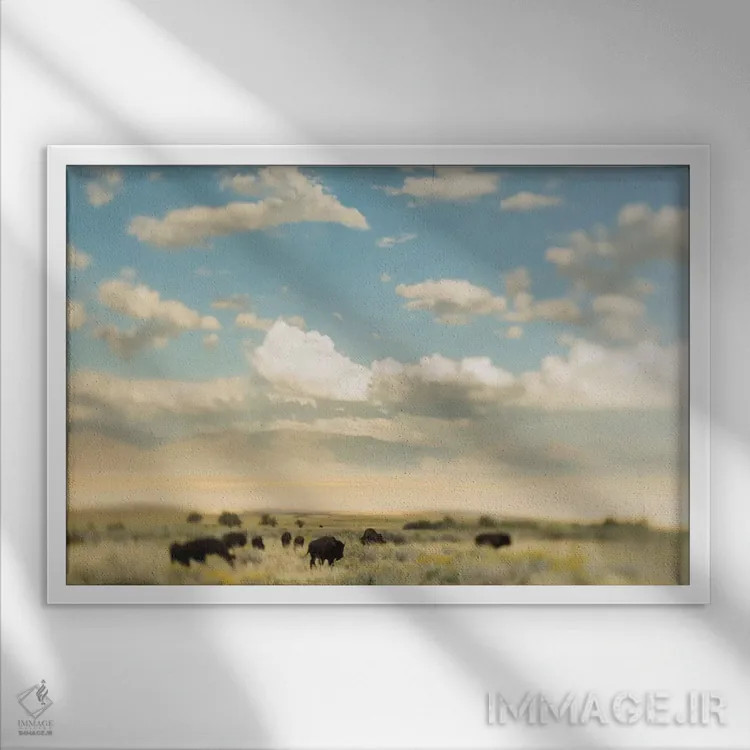 تابلو گله اثر چلسیا ویکتوریا - نمای قابدار سفید