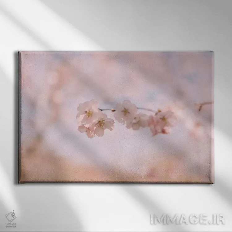 تابلو شکوفه گیلاس ۲ اثر چلسیا ویکتوریا - نمای روبهرو روی دیوار