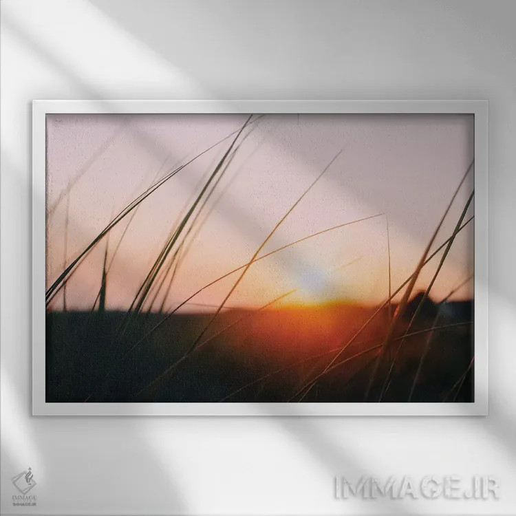 تابلو چمنزار کیپ کاد اثر چلسیا ویکتوریا - نمای قابدار سفید