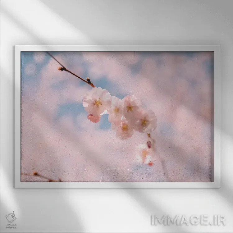 تابلو شکوفه گیلاس ۱ اثر چلسیا ویکتوریا - نمای قابدار سفید