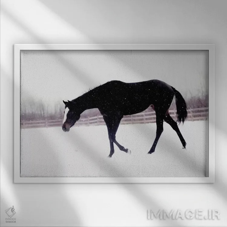 تابلو اسب سیاه در برف اثر چلسیا ویکتوریا - نمای قابدار سفید
