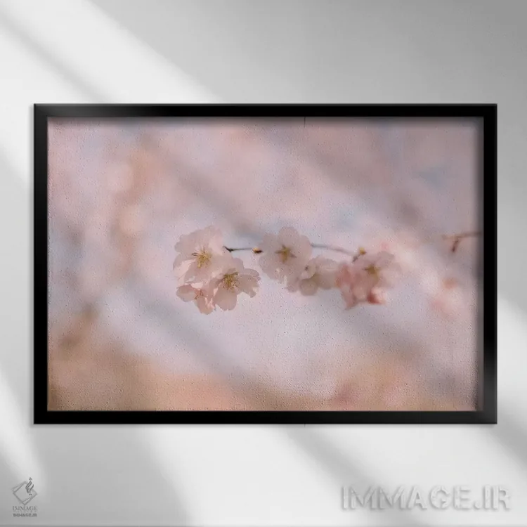 تابلو شکوفه گیلاس ۲ اثر چلسیا ویکتوریا - نمای قابدار مشکی