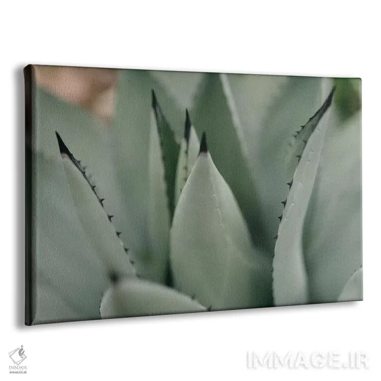 تابلو ساکولنت نعناعی ۲ اثر چلسیا ویکتوریا - نمای پرسپکتیو محصول