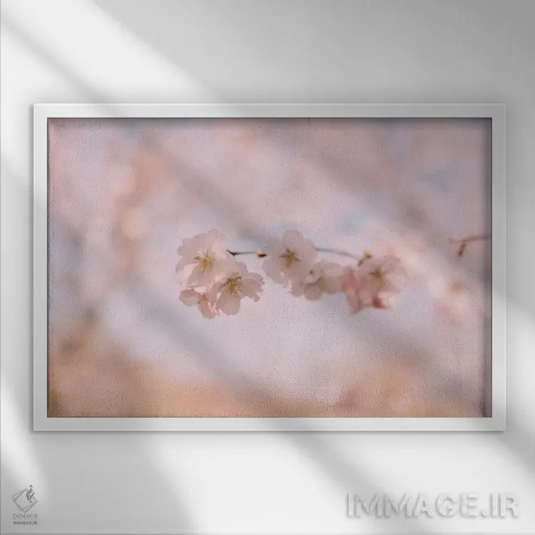 تابلو شکوفه گیلاس ۲ اثر چلسیا ویکتوریا - نمای قابدار سفید