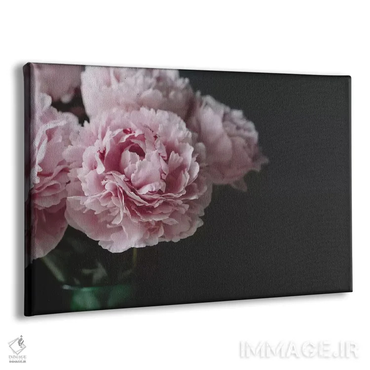 تابلو صدتومانیها روی زمینه سیاه ۱ اثر چلسیا ویکتوریا - نمای پرسپکتیو محصول