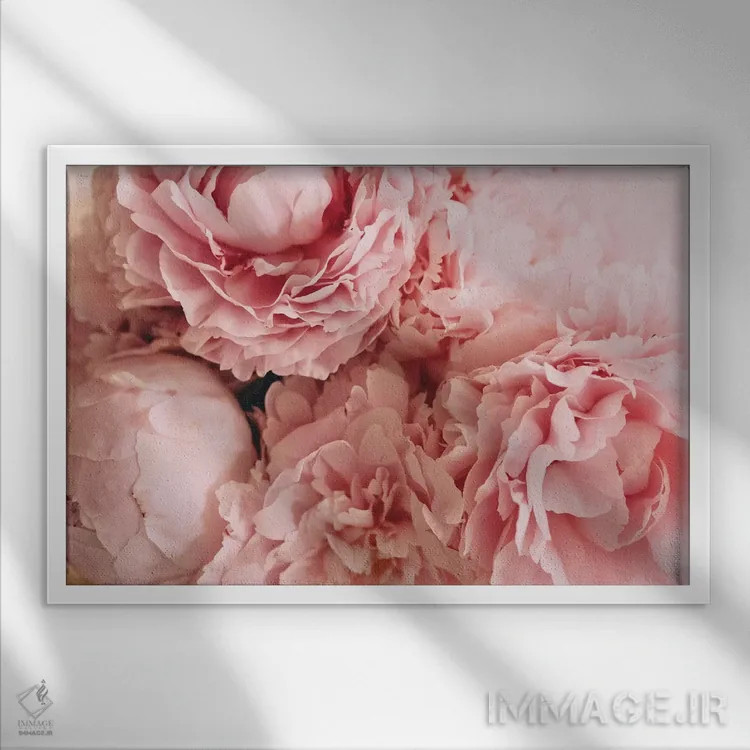 تابلو گل صدتومانی گلگون اثر چلسیا ویکتوریا - نمای قابدار سفید