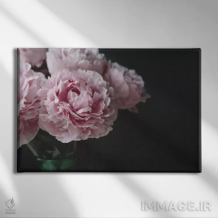 تابلو صدتومانیها روی زمینه سیاه ۱ اثر چلسیا ویکتوریا - نمای روبهرو روی دیوار