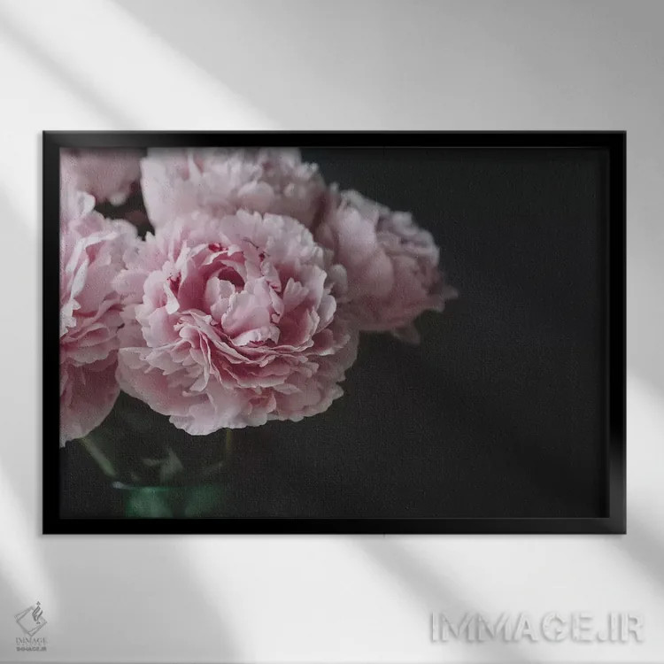 تابلو صدتومانیها روی زمینه سیاه ۱ اثر چلسیا ویکتوریا - نمای قابدار مشکی