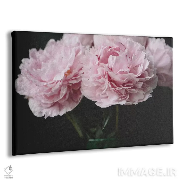 تابلو صدتومانیهای صورتی اثر چلسیا ویکتوریا - نمای پرسپکتیو محصول