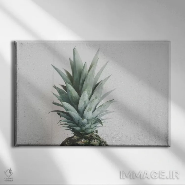 تابلو سَر آناناس ۲ اثر چلسیا ویکتوریا - نمای روبهرو روی دیوار