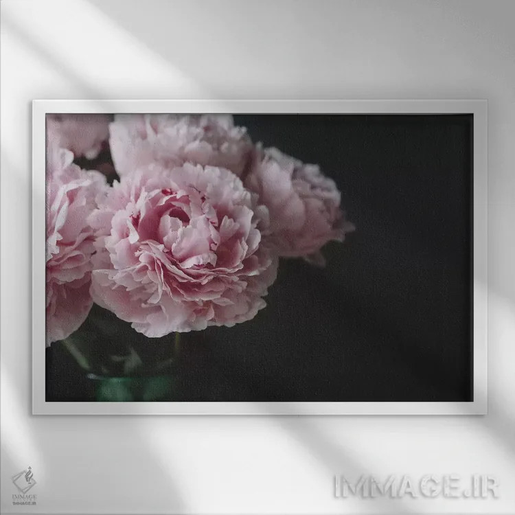 تابلو صدتومانیها روی زمینه سیاه ۱ اثر چلسیا ویکتوریا - نمای قابدار سفید