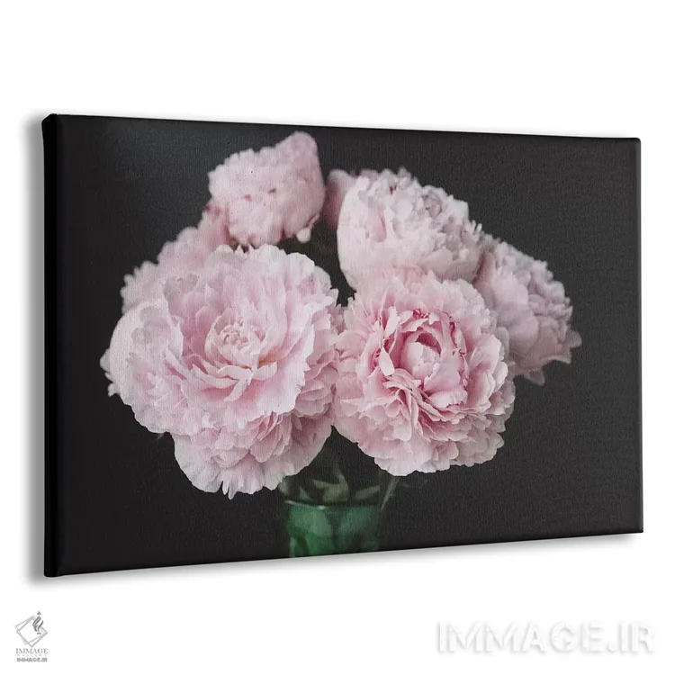 تابلو صدتومانیهای صورتی روی زمینه سیاه ۳ اثر چلسیا ویکتوریا - نمای پرسپکتیو محصول