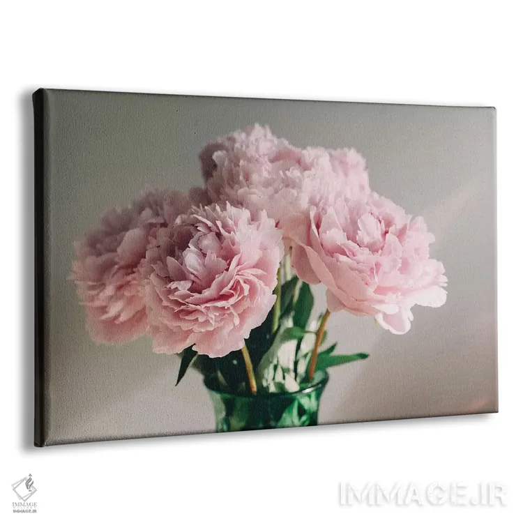 تابلو صدتومانیهای صورتی روی زمینه سفید ۱ اثر چلسیا ویکتوریا - نمای پرسپکتیو محصول