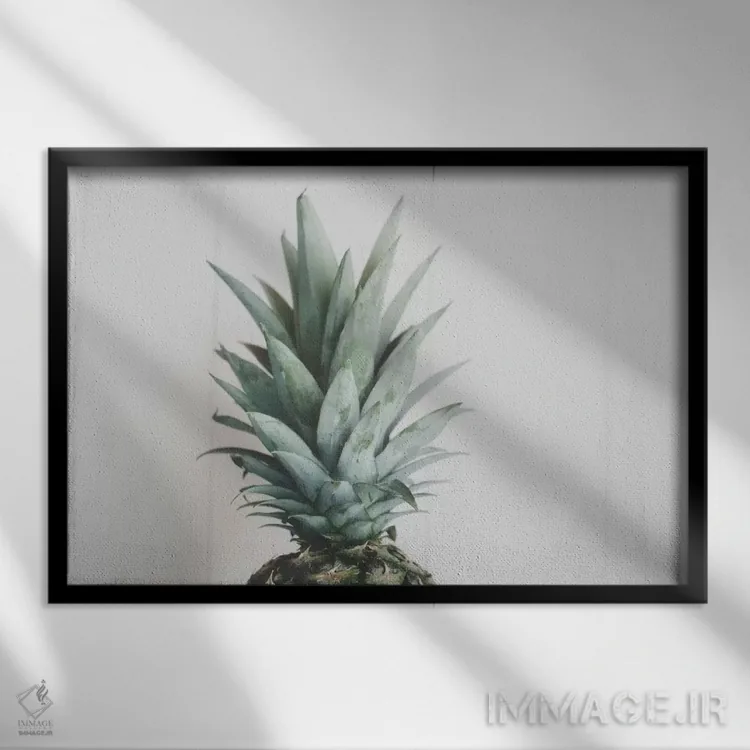 تابلو سَر آناناس ۲ اثر چلسیا ویکتوریا - نمای قابدار مشکی