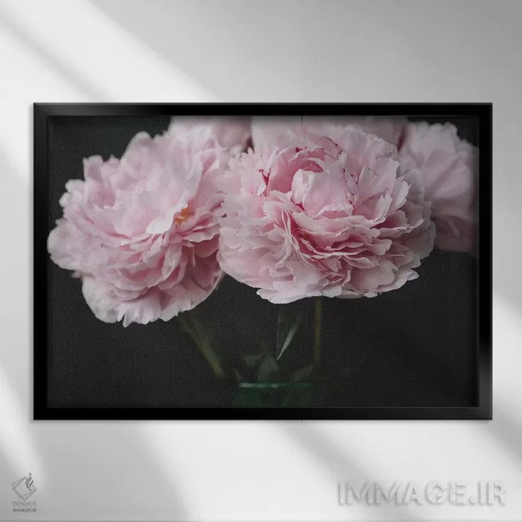 تابلو صدتومانیهای صورتی اثر چلسیا ویکتوریا - نمای قابدار مشکی