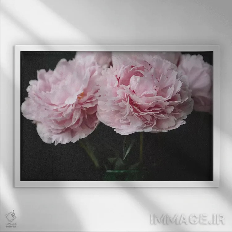 تابلو صدتومانیهای صورتی اثر چلسیا ویکتوریا - نمای قابدار سفید