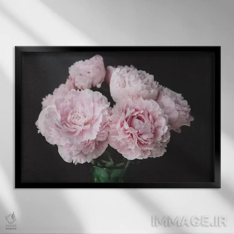 تابلو صدتومانیهای صورتی روی زمینه سیاه ۳ اثر چلسیا ویکتوریا - نمای قابدار مشکی