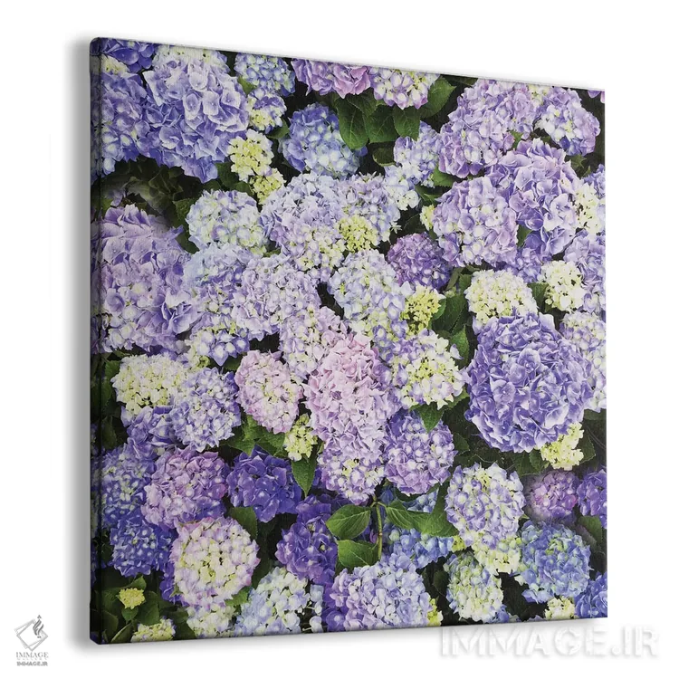 تابلو دیوانهوار عاشق ۱ اثر چلسیا ویکتوریا - نمای پرسپکتیو محصول